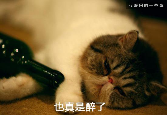 [問題來了]年度十大網絡流行語是這些？