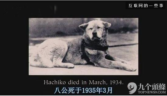 字幕組走了 留下一池奇葩翻譯:“日子過得跟新聞聯播一樣”?,互聯網的一些事