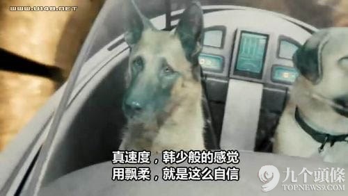 字幕組走了 留下一池奇葩翻譯:“日子過得跟新聞聯播一樣”?,互聯網的一些事